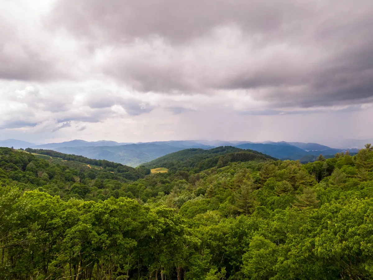 A sweeping view across lush green forests, with distant mountains visible beneath a cloudy sky. The scene is tranquil and expansive, evoking a sense of wide-open adventure and the natural beauty surrounding Eagles Nest.